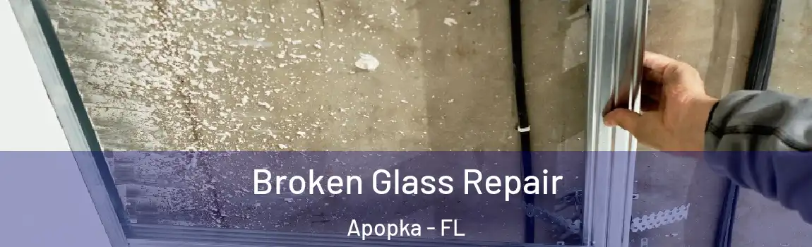  Broken Glass Repair Apopka - FL