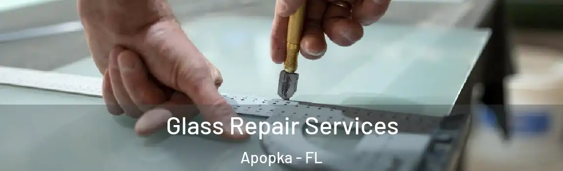  Glass Repair Services Apopka - FL